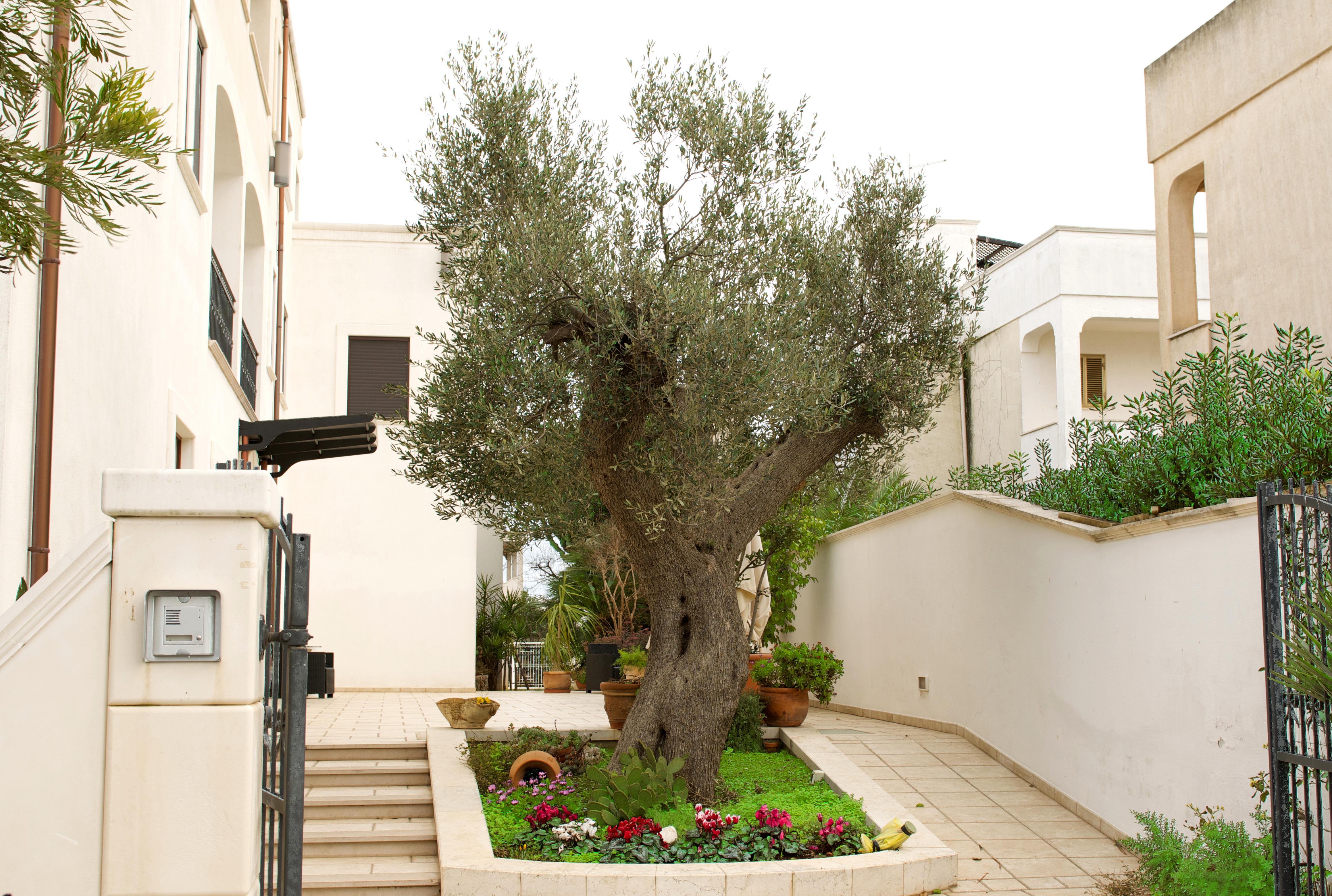 Hotel Victoria Torre Santa Sabina Kültér fotó